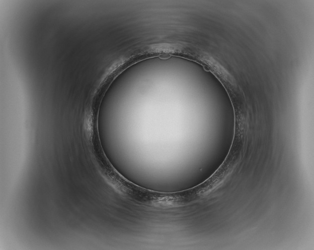 X0000116890064200912221501
