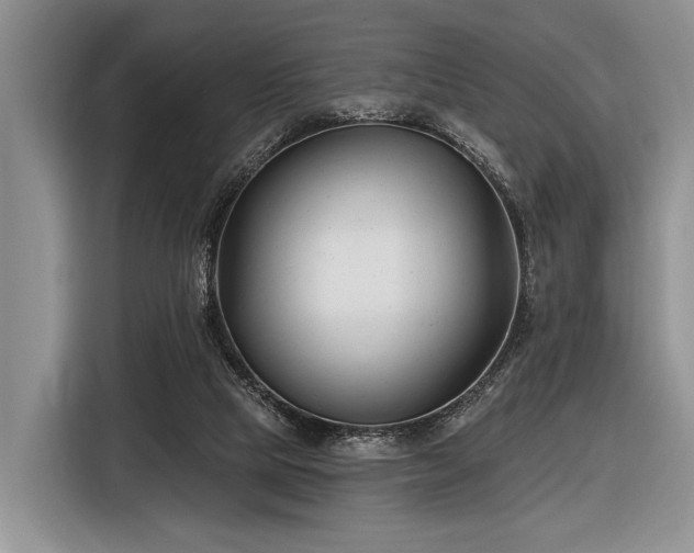 X0000116890065200912221501
