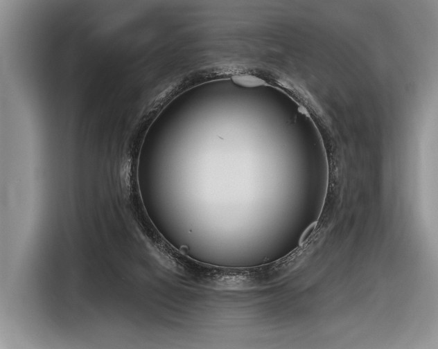 X0000116890066200912221501