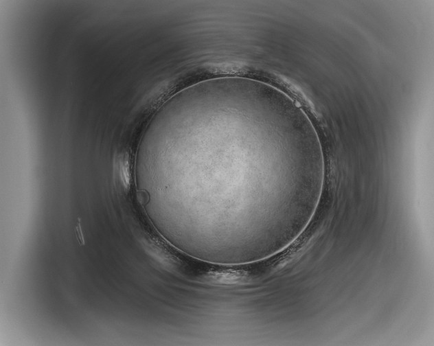 X0000116890069200912221501