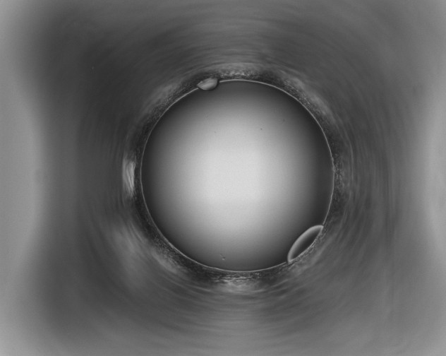 X0000116890070200912221501