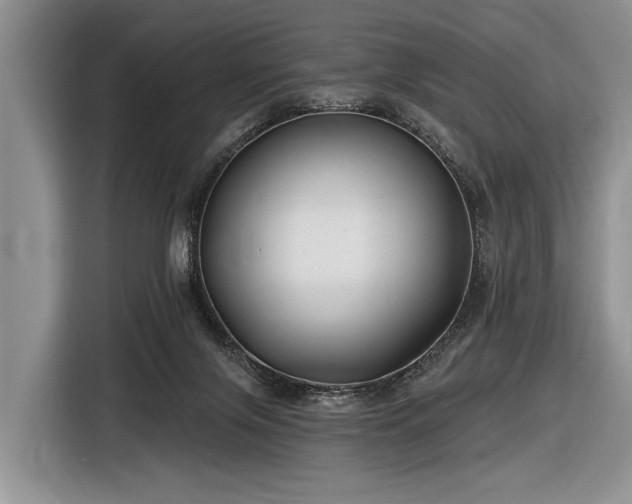 X0000116890071200912221502