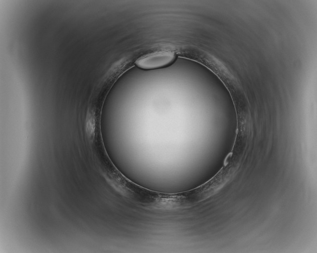 X0000116890072200912221502