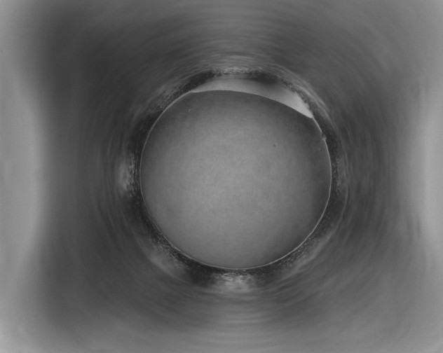X0000116890073200912221502