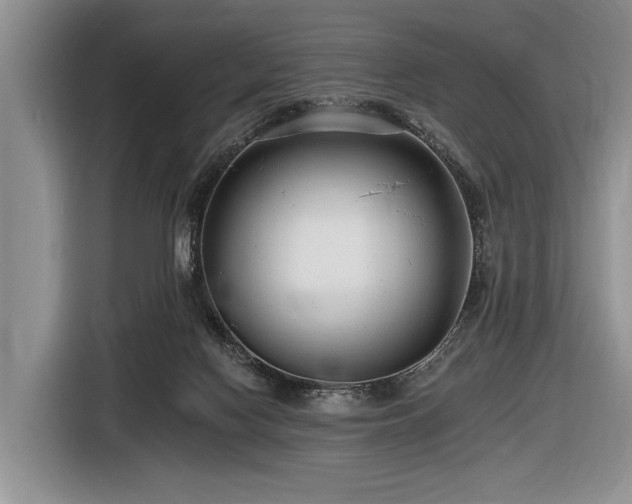 X0000116890074200912221502