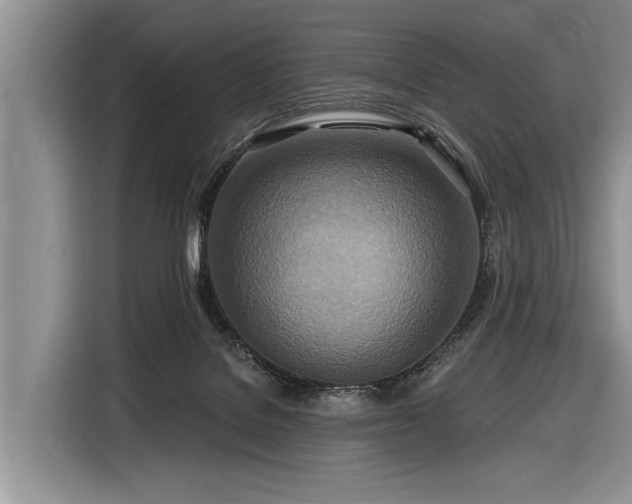 X0000116890076200912221502
