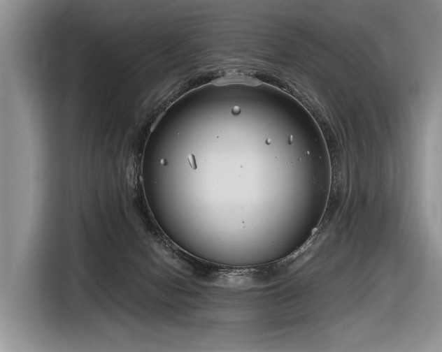 X0000116890078200912221502