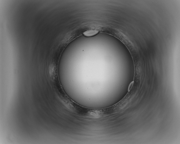 X0000116890079200912221502