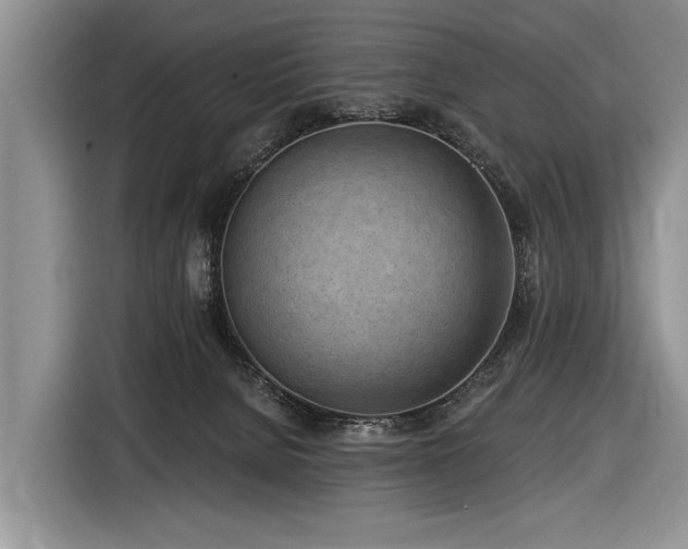 X0000116890080200912221502