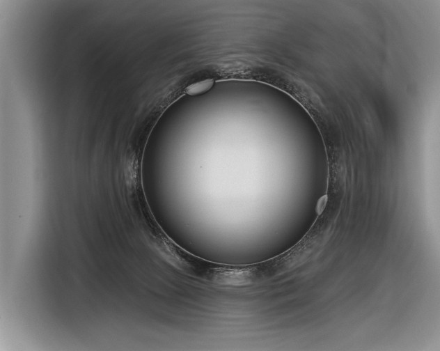 X0000116890081200912221502