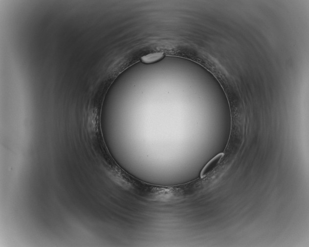 X0000116890083200912221502