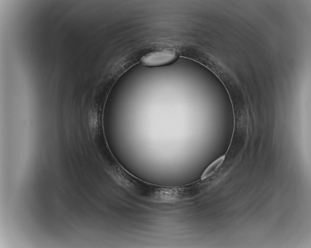 X0000116890084200912221502
