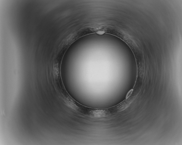 X0000116890085200912221502
