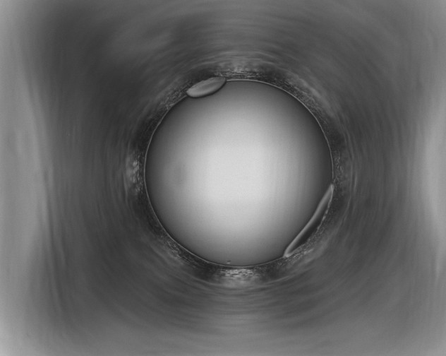 X0000116890087200912221502