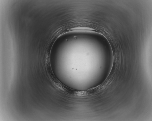 X0000116890092200912221502