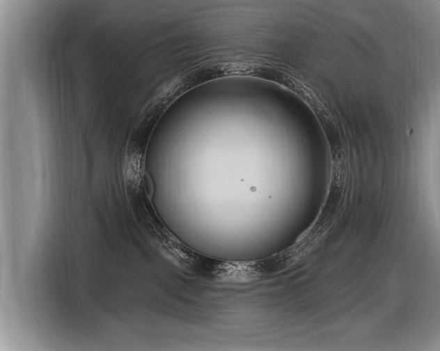 X0000116890093200912221502