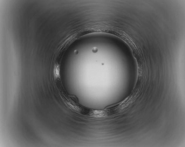 X0000116890095200912221502