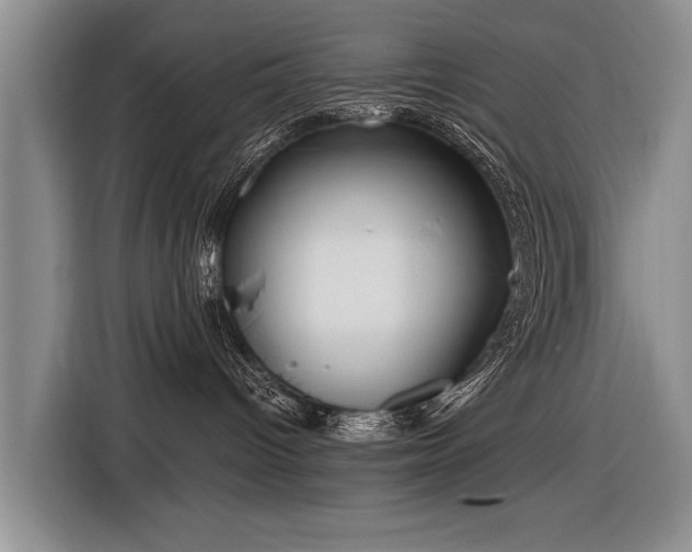 X0000116890096200912221502