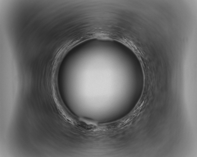 X0000116890097200912221501