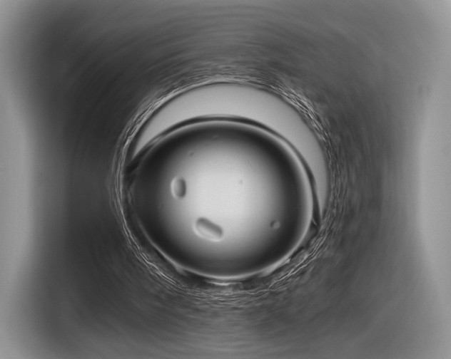 X0000116890098200912221501