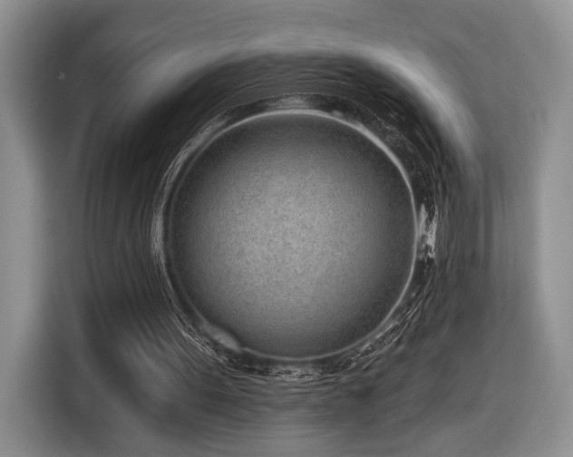 X0000116890099200912221501