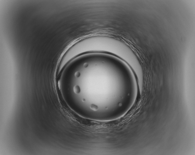 X0000116890100200912221501