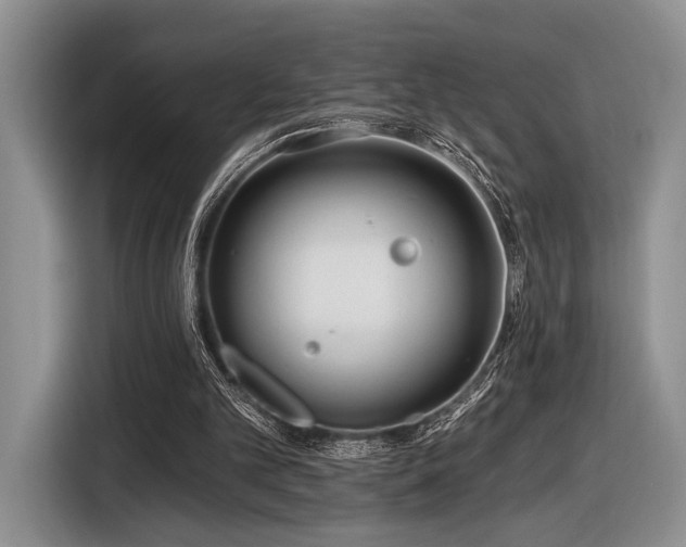 X0000116890101200912221501