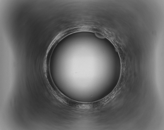 X0000116890102200912221501