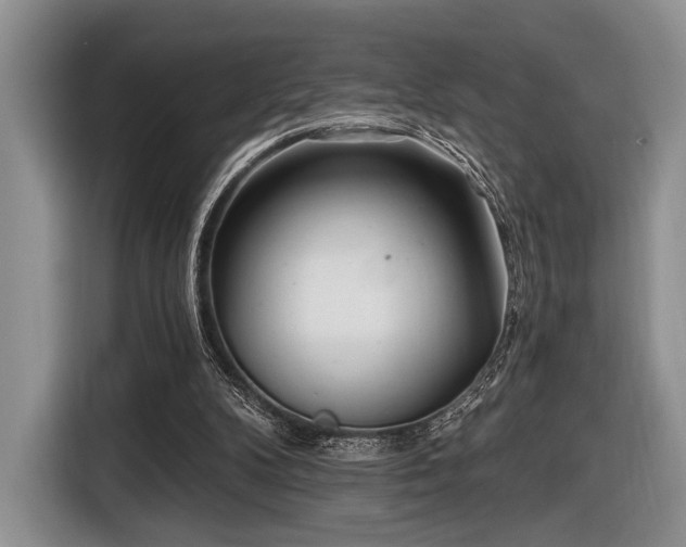 X0000116890104200912221501