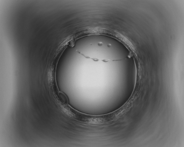 X0000116890105200912221501