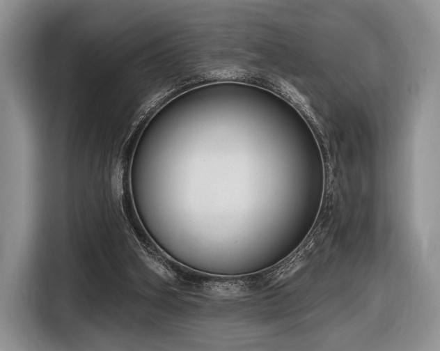 X0000116890106200912221501