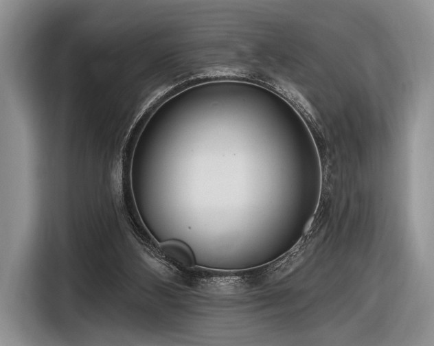 X0000116890108200912221501