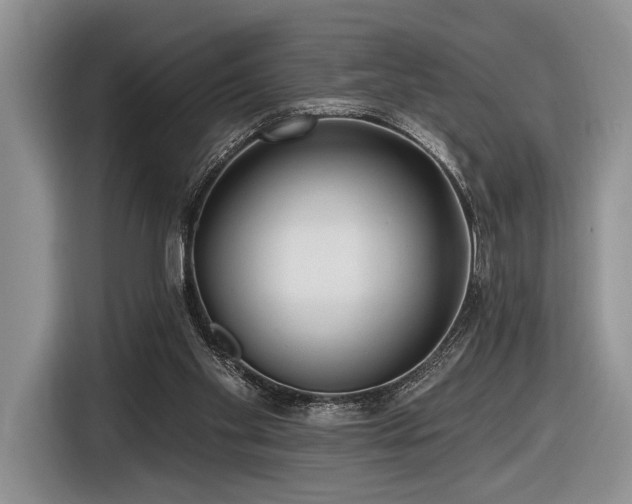 X0000116890109200912221501