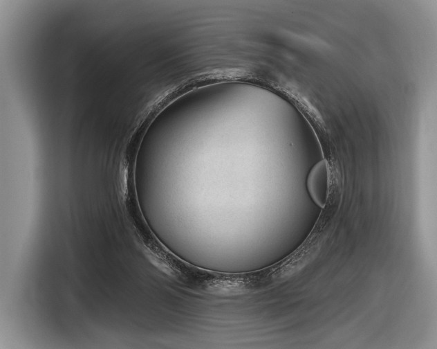 X0000116890110200912221501
