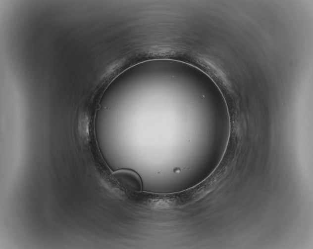 X0000116890115200912221501