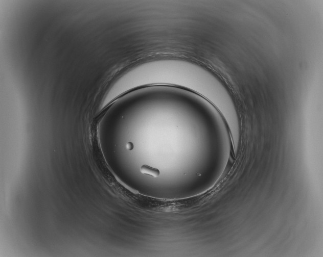 X0000116890116200912221501
