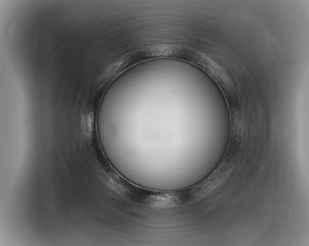 X0000116890118200912221501