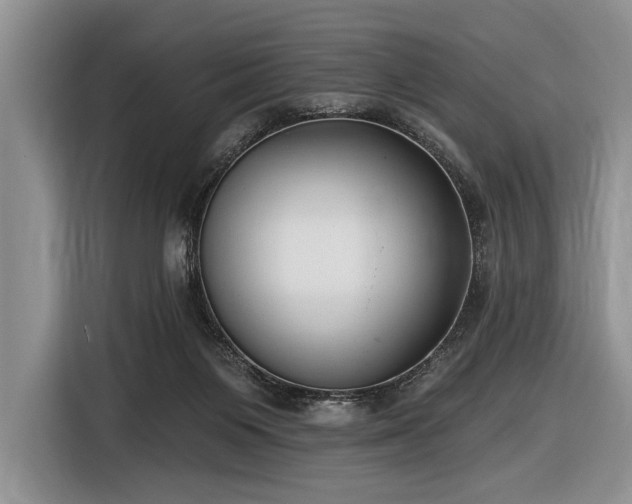X0000116890119200912221501