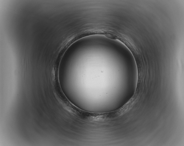 X0000116890120200912221501