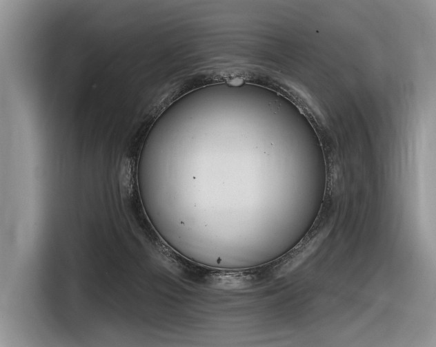 X0000116890121200912221501