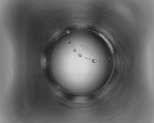 X0000116890123200912221501