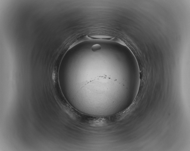 X0000116890124200912221501