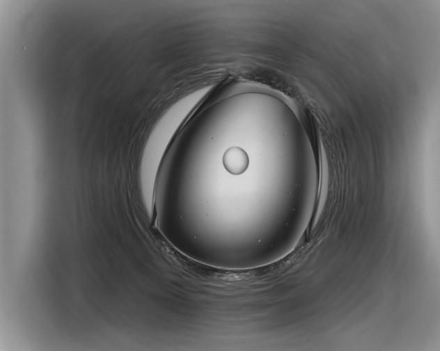 X0000116890129200912221501