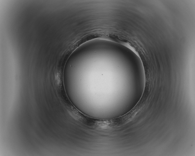 X0000116890131200912221501