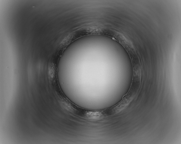 X0000116890133200912221501