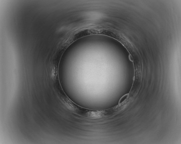 X0000116890134200912221501