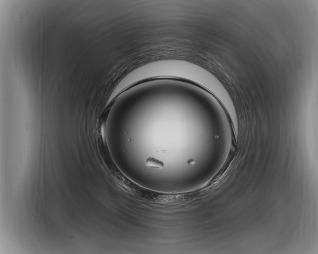X0000116890136200912221501