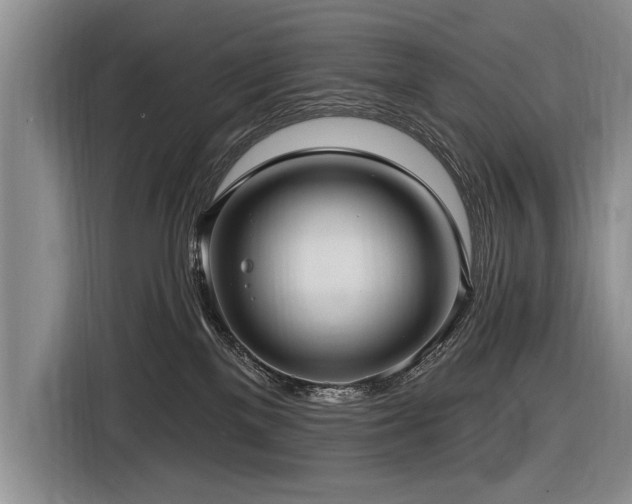 X0000116890137200912221501