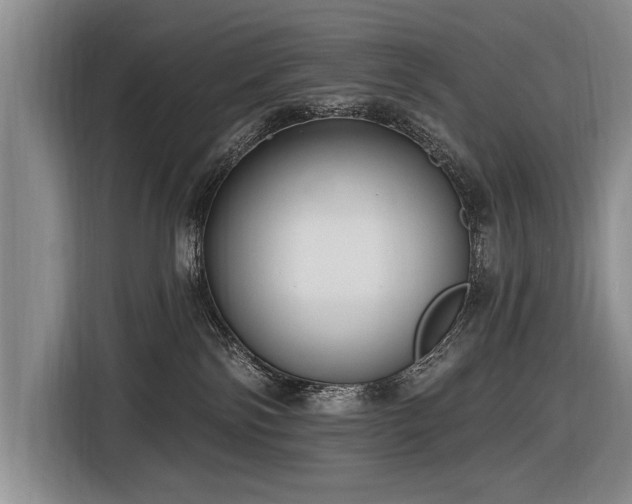 X0000116890138200912221501