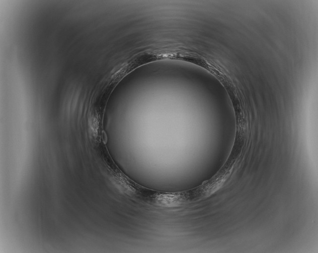 X0000116890139200912221501